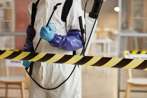 Professional Hoarding Cleanup technician working in Clatonia, NE